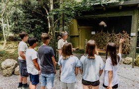 Lower Austrian Falconry and Birds of Prey Center, © Waldviertel Tourismus, Matthias Streibel Lower Austrian Falconry and Birds of Prey Center, © Waldviertel Tourismus, Matthias Streibel