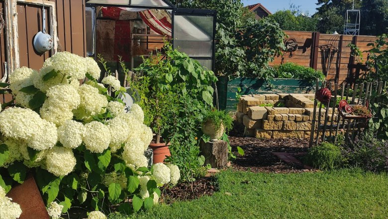 Vegetable garden, © Susanne Bleier A vegetable garden with a greenhouse, white hydrangeas and raised stone beds.