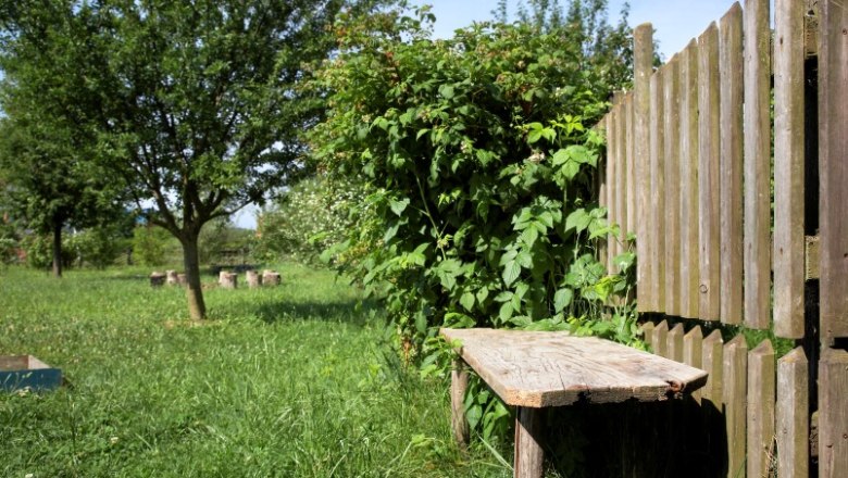 Fire-Earth Garden, © Natur im Garten/Alexander Haiden Wooden bench next to a wooden fence in a green garden with trees.