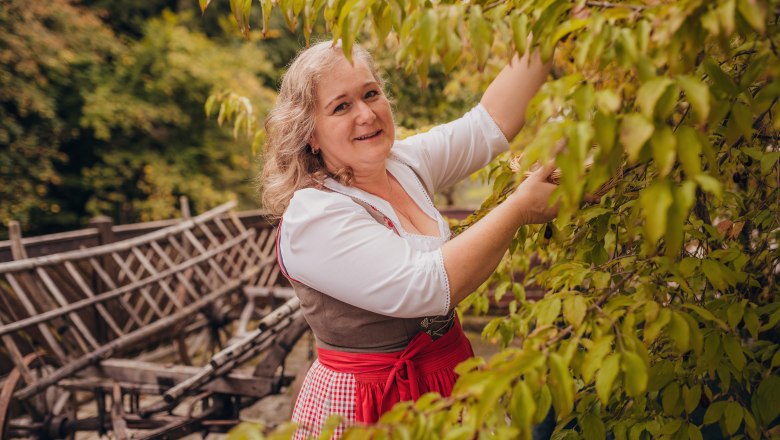 Landlady Petra Hofegger, © Niederösterreich Werbung/Daniela Führer Woman in traditional dress picking leaves from a tree.