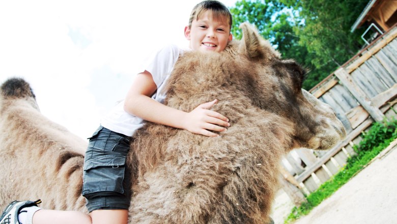 Always such a theatre, Kernhof, © weinfranz.at Always such a theatre, Kernhof, © weinfranz.at