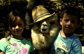 Alpaca baby with hat, © Alpaka Freizeitpark Two children pose with a baby alpaca wearing a straw hat.