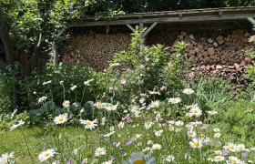 Show garden,Towanda, © "Natur im Garten" A blooming garden with daisies and a pile of wood in the background.
