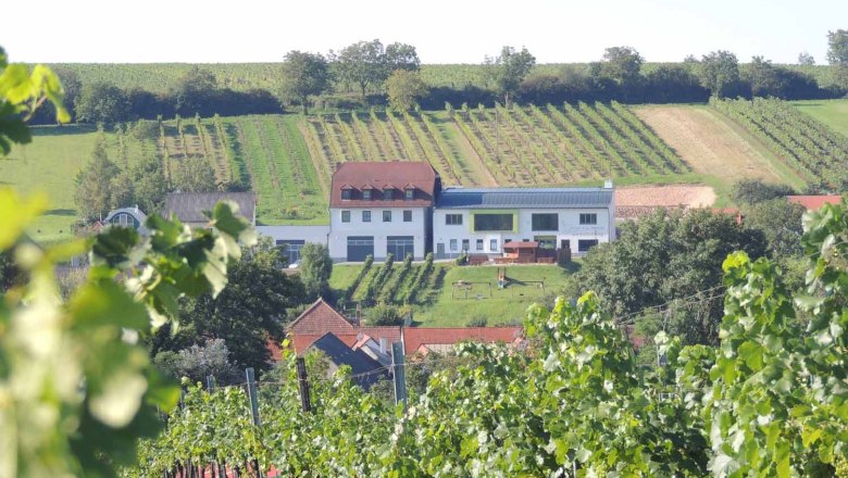 Wine tavern, © Fam. Dworzak Winery with wine tavern in the middle of vineyards.