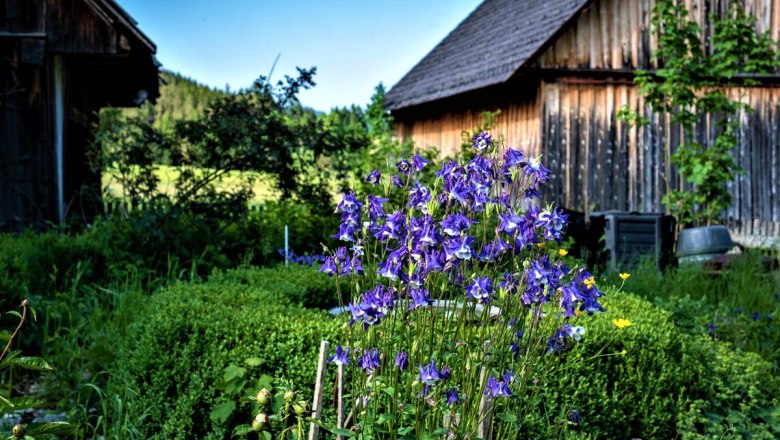 Garden, © Gluschitz-Goebel A garden with purple flowers in the foreground and wooden huts in the background.