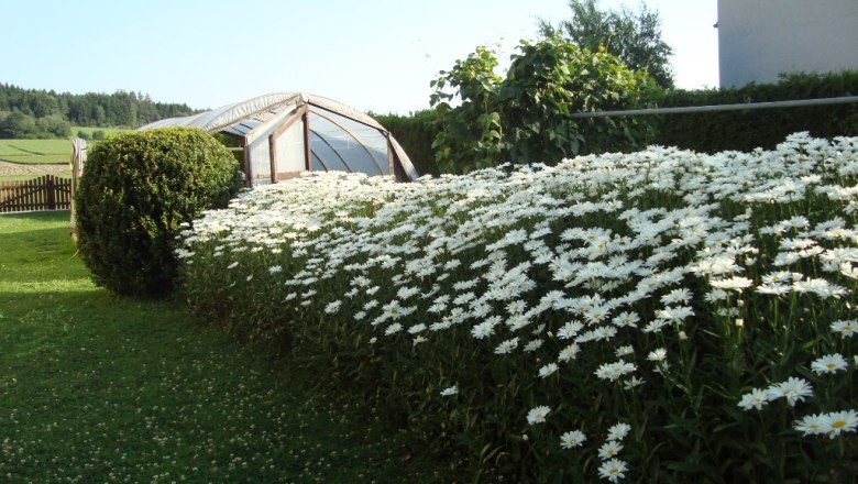 Greenhouse, © Fam. Sommer-Leitner Greenhouse, © Fam. Sommer-Leitner