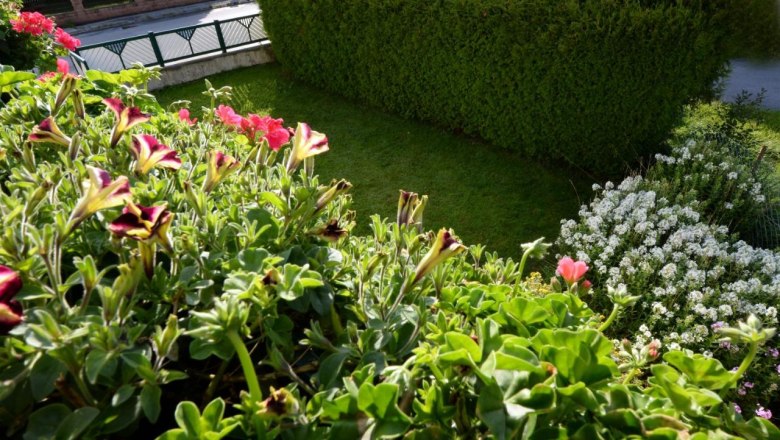 Garden, © Regina Petric Garden, © Regina Petric