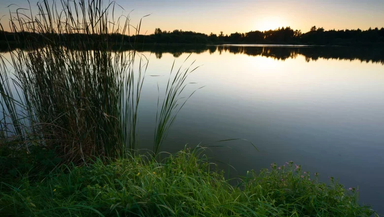 Ottenstein pond plate, © Matthias Schickhofer Sunset over a calm lake with reeds in the foreground.