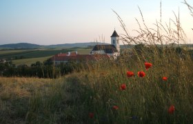 Romanesque church in Gaubitsch, © Gemeinde Gaubitsch Landscape with Romanesque church in Gaubitsch, surrounded by fields and poppies.