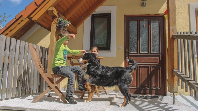 apartment-3, © Ferienwohnung apartment-3, © Ferienwohnung