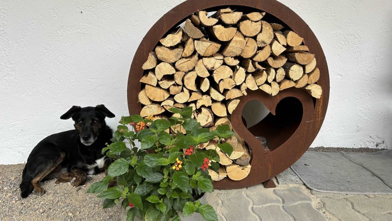 Terrace decoration, © WANDLHOF Terrace decoration, © WANDLHOF