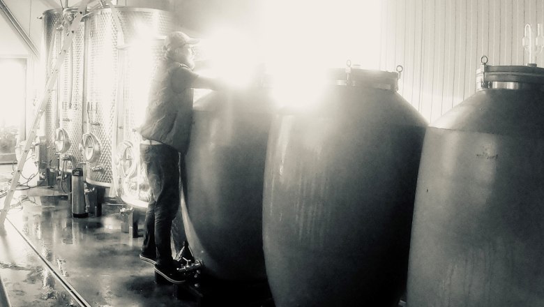 Cellar work, © Leo Uibel Person works in a winery with large tanks.