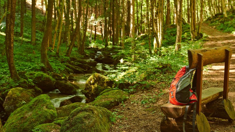 Refreshing coolness in the Steinbachklamm gorge, © Klaus Engelmayer Refreshing coolness in the Steinbachklamm gorge, © Klaus Engelmayer
