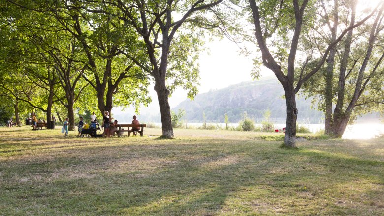 Danube beach in Mautern, © Donau NÖ Tourismus_Barbara Elser Danube beach in Mautern, © Donau NÖ Tourismus_Barbara Elser
