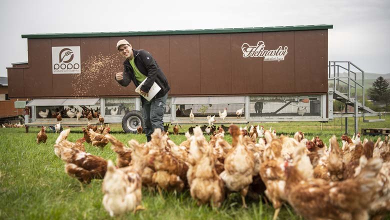 Chickens, © Netzwerk Kulinarik / pov.at Chickens, © Netzwerk Kulinarik / pov.at