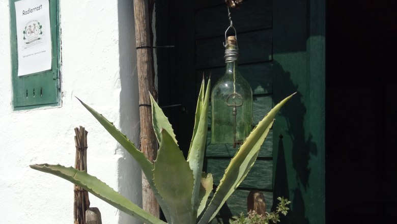 Cellar key, © Weinstraße Weinviertel Plant in a wooden barrel in front of a green door with a sign 'Radlerrast'.