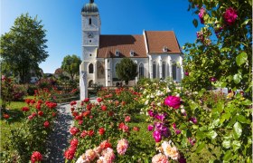Fortified church with rose garden in Kirchschlag, © Wiener Alpen/Walter Strobl Fortified church in Kirchschlag with a blooming rose garden in the foreground.