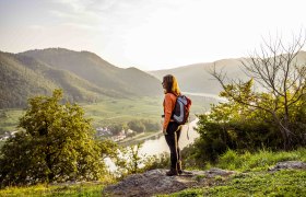 View from the Michaelerberg, © Robert Herbst A woman with a rucksack stands on a hill and looks out over a river landscape with mountains in the background.