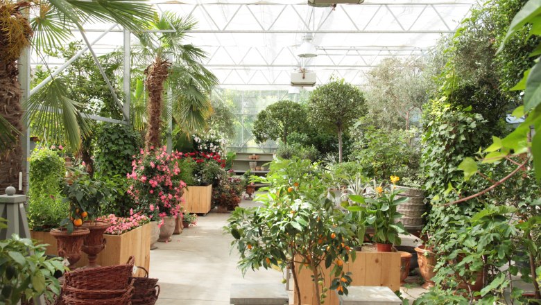 Plants and exotic house, © Lederleitner A greenhouse with various exotic plants and trees, including palm trees and flowering shrubs.