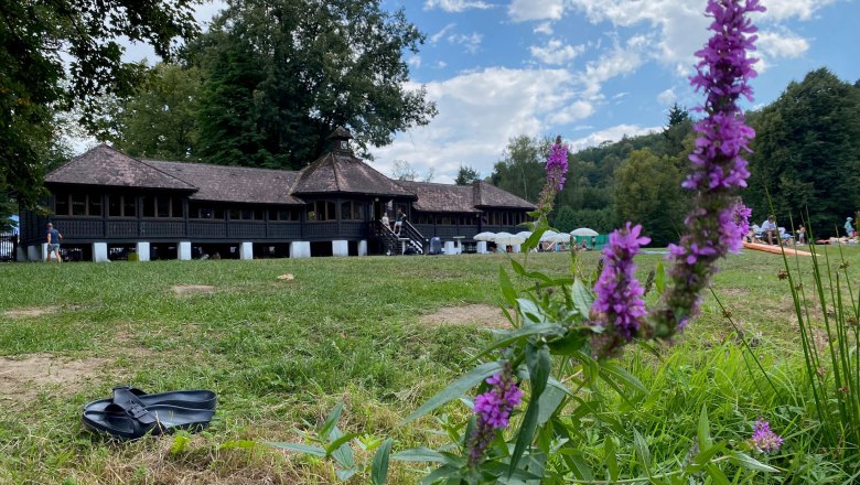 Drosendorf lido, © Elisabeth Ruckser A traditional wooden building in the background with purple flowers in the foreground on a meadow.