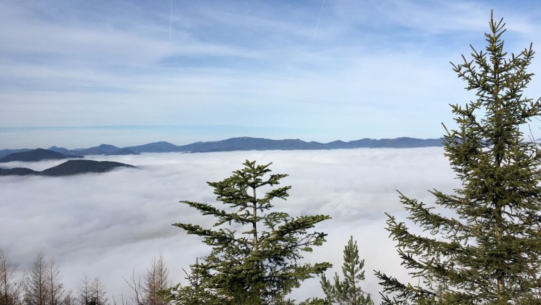 View into the sea of fog, © Naturpark Hohe Wand View over a blanket of fog in the mountains with fir trees in the foreground.