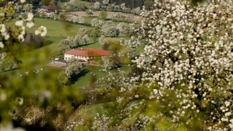 Photo point Seitenstetten Abbey, © schwarz-koenig.at Photo point Seitenstetten Abbey, © schwarz-koenig.at