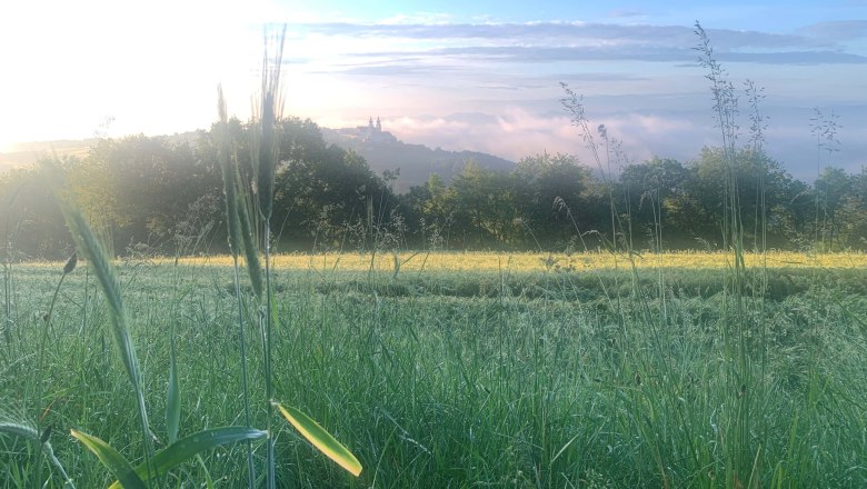 Maria Taferl from afar, © Sabine und Roman Kerschbaumer Maria Taferl from afar, © Sabine und Roman Kerschbaumer