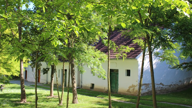 Wine cellar lane Fuchsenweg, © Weinviertel Tourismus White building with green gate, surrounded by trees and grass.