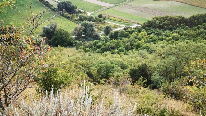 Oberschoderlee Blue Wall Hornmelde, © Gemeinde Stronsdorf Landscape with hills, fields and bushes in the foreground.