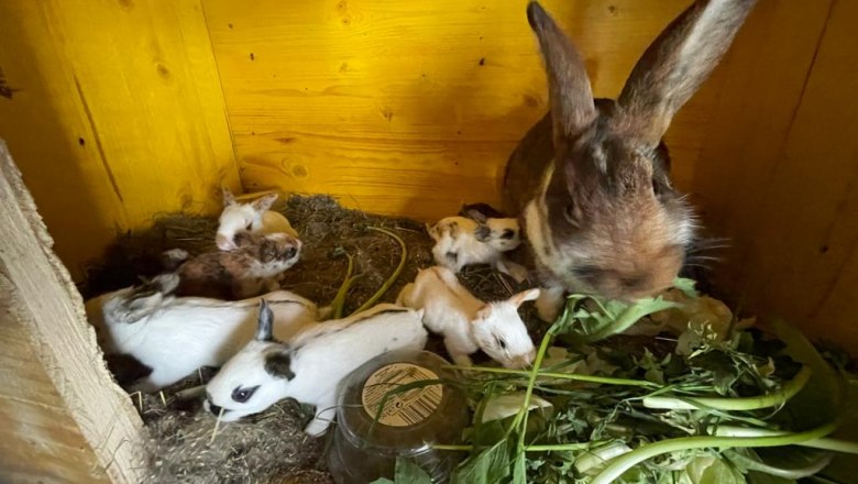 Day nursery, © ALZV - Rudolf Bauer, MBA Day nursery, © ALZV - Rudolf Bauer, MBA