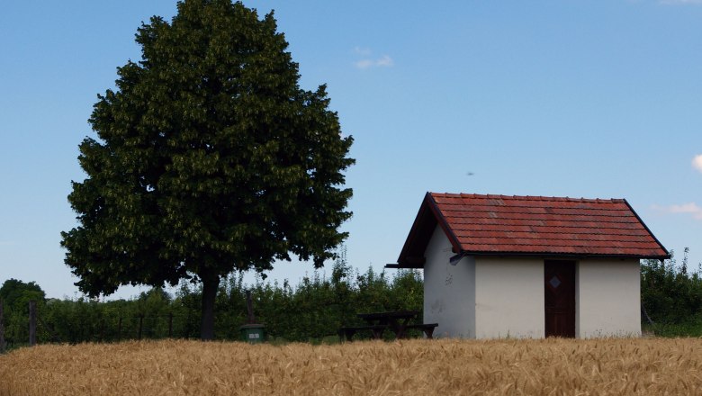Viertlerhütte, © Gemeinde Prottes Small hut with a red roof next to a large tree in a field.