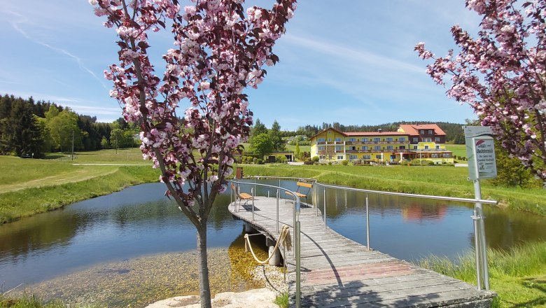 Bathing pond1, © Gasthof Nordwald Bathing pond1, © Gasthof Nordwald