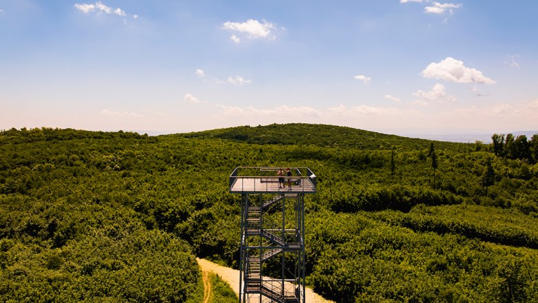 SS_Kaiser-Jubiläums-Warte on the Eschenkogel, © Sascha Schernthaner_Wienerwald Tourismus Landmark of the Anninger
