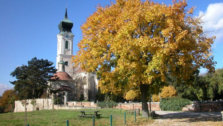 Church, © Stadtgemeinde Mistelbach/Mag. Mark Schönmann Church with tower and autumnal tree in the foreground.