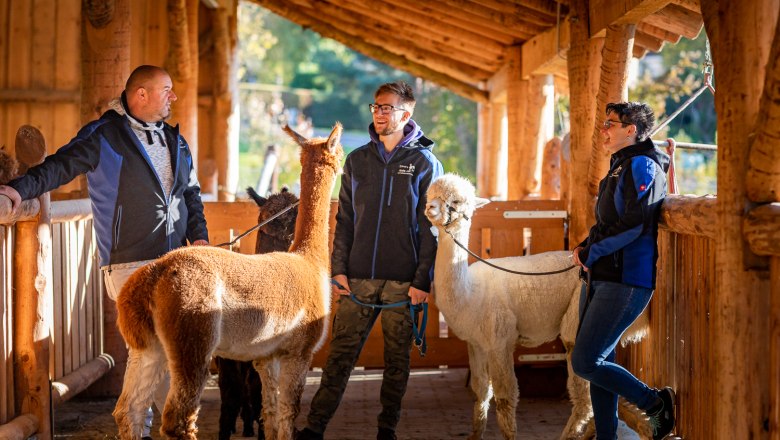 Ederer's alpaca farm with farm store, © Wiener Alpen, Christian Kremsl Three people stand in a wooden stable with alpacas.