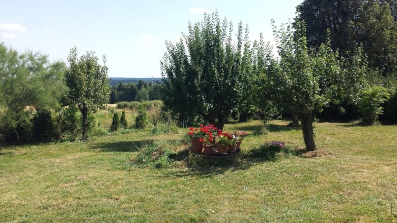 Garden, © Peter Schlager A green garden with trees and blooming flowers in pots on a meadow.