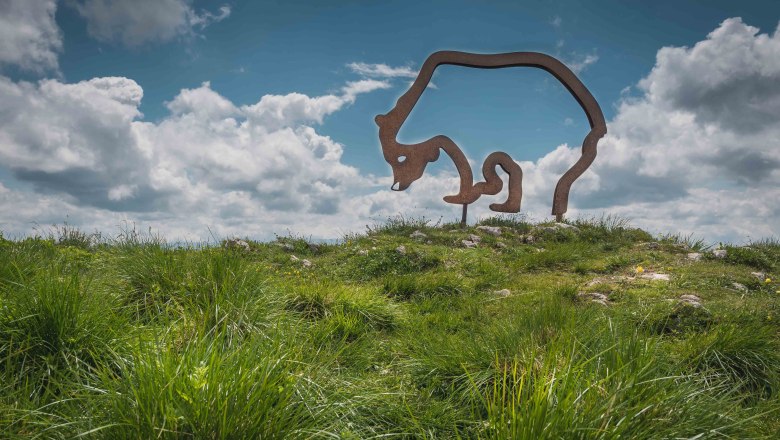 Bear, © Familie Demolsky Bear, © Familie Demolsky