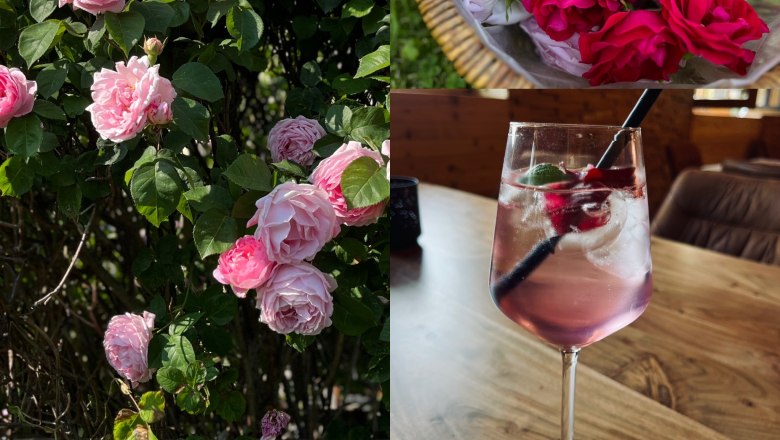 Special drinks with homemade rose syrup, © Anita Gradwohl, dahoam Collage with rose bush, basket full of rose petals and drink with rose syrup.