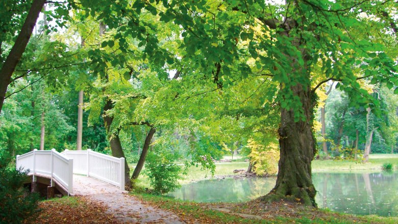 Harrach Park, © Markus Einramhof Harrach Park, © Markus Einramhof