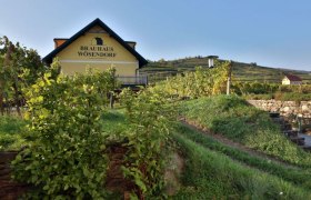 Brewery in Wösendorf, © Familie Friesenbichler Brauhaus Wösendorf in the middle of vineyards.