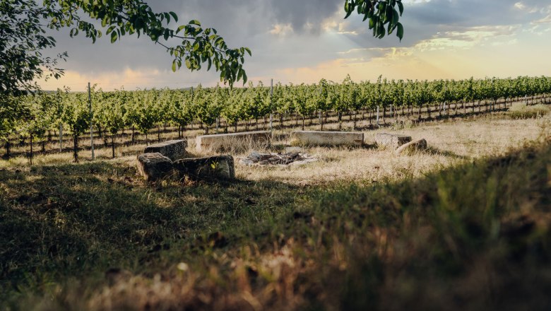 Campfire site, © Weinakademie Retz Campfire site on a meadow in front of a vineyard under a cloudy sky.