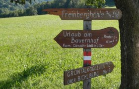 Signpost Freinberg Cave, © Gemeinde Texingtal Signpost to the Freinberg cave and other destinations in a meadow.