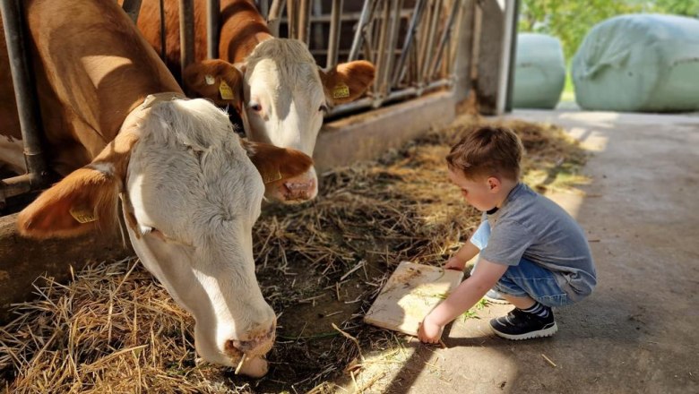 Milk love, Wegbauernhof, © Helen Brandstetter Milk love, Wegbauernhof, © Helen Brandstetter