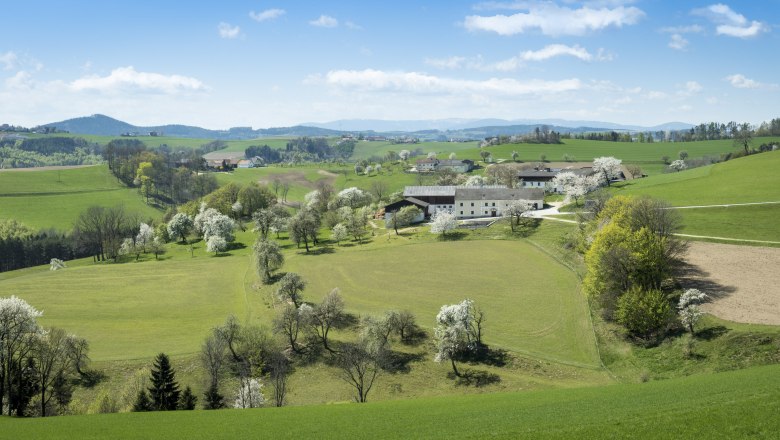 Municipality of Wiesmath, © Wiener Alpen, Franz Zwickl Panorama of a rural, hilly landscape with green fields, blossoming trees and a farm in the background.