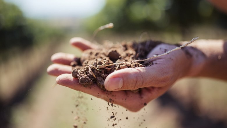 Baier Winery, © Ideenladen Krems Close-up of a hand holding earth, blurred nature in the background.