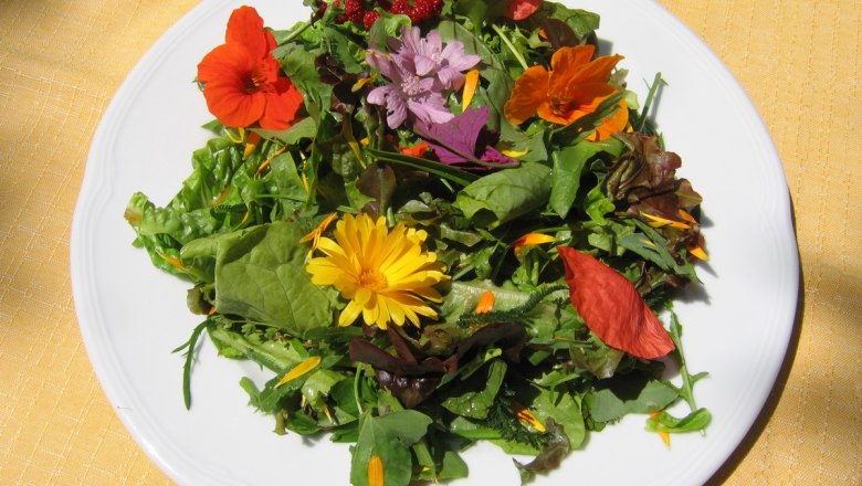 wiki-sh_wildweed_salad__c_naturhotel-steinschalerhof, © Naturhotel Steinschalerhof A plate with wild herb salad and edible flowers on a yellow tablecloth.