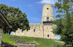 Markgrafneusiedl ruins, © Gemeinde Markgrafneusiedl Markgrafneusiedl ruins with tower and trees in the foreground.