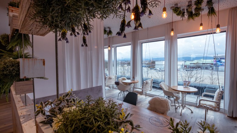 The Alfred, © Niederösterreich Werbung / Maximilian Pawlikowsky Interior of a café with plants and large windows.