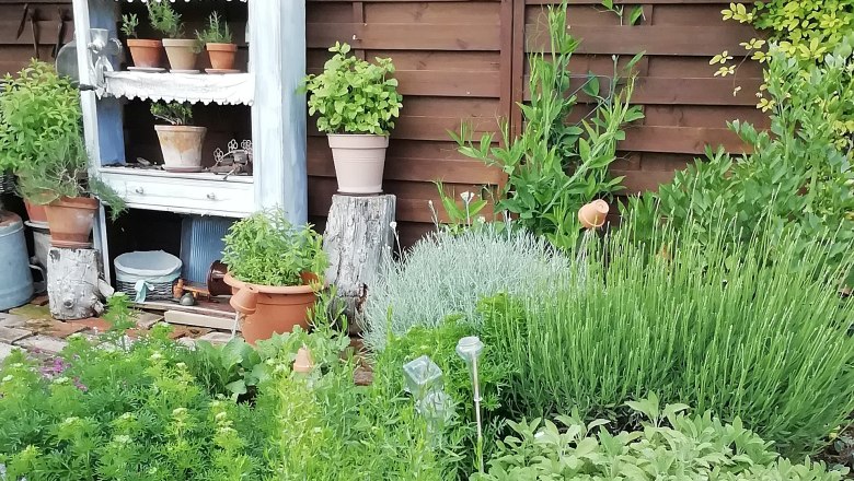 Herb garden, © Susanne Bleier A herb garden with various plants and pots in front of a wooden fence.