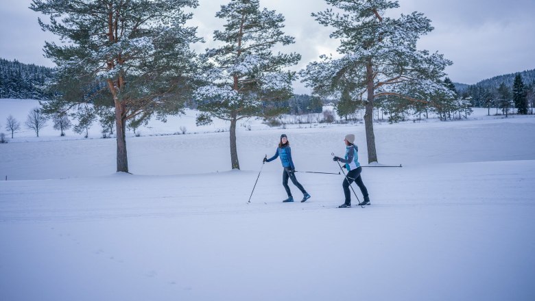 Cross-country skiing at the Frauenwieserteich, © Waldviertel Tourismus, Robert Herbst Two people cross-country skiing in a snowy landscape with trees in the background.